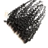 Burmese_curly_frontal-1_enhanced Deep Curly Lace Frontal