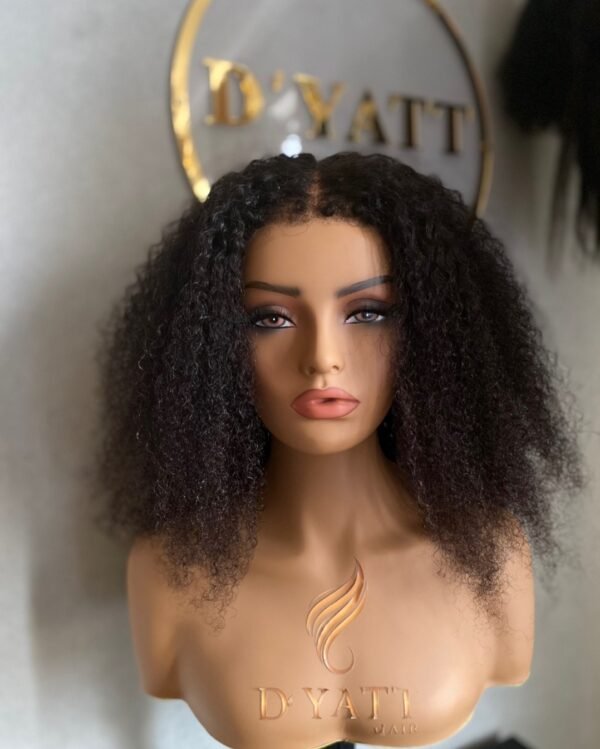 Kinky Curly Wig Deli 360 Kinky Curly Wig