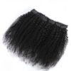 kinky curly 1 Kinky Curly Clip-in Extensions
