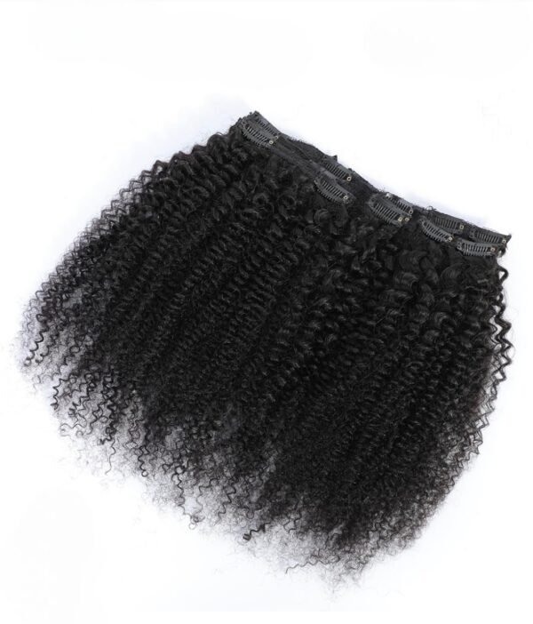 kinky curly 1 Kinky Curly Clip-in Extensions